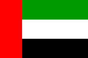 Dubai flag